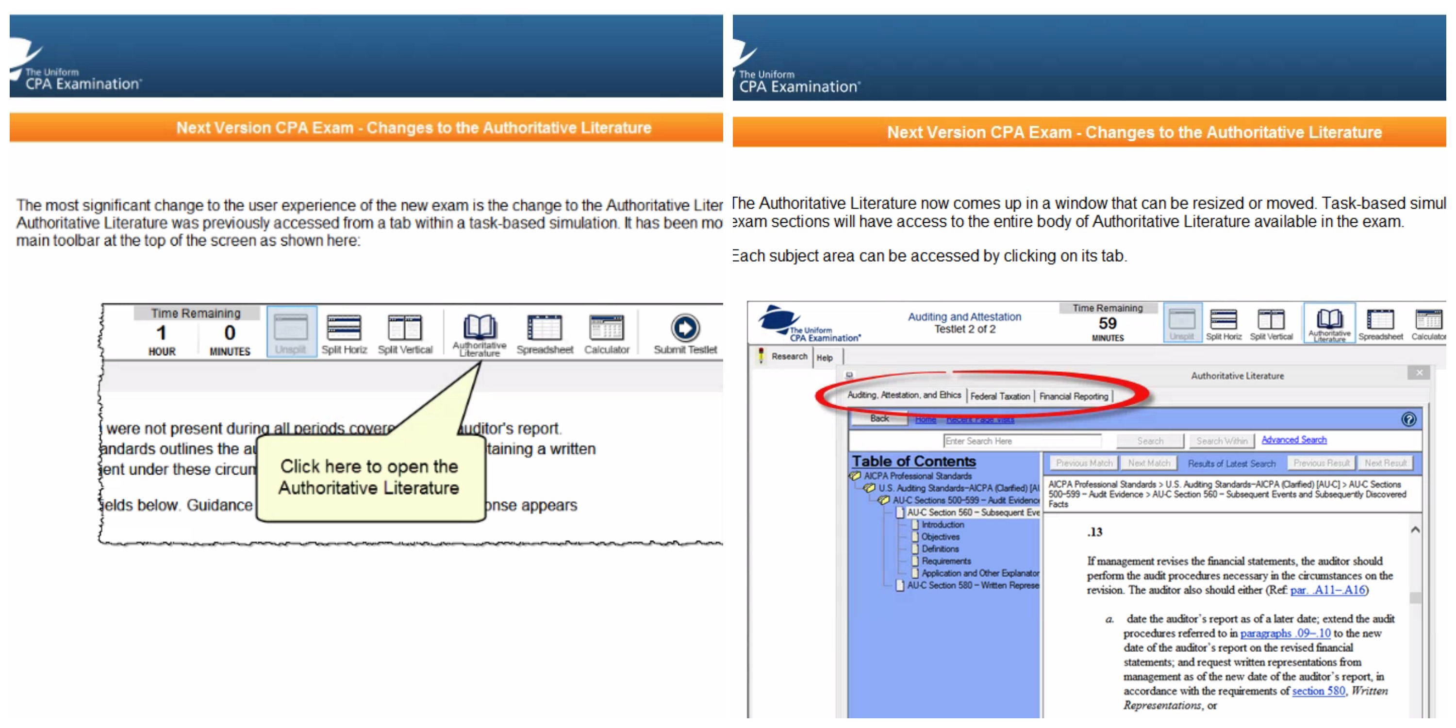 AICPA Sample Test