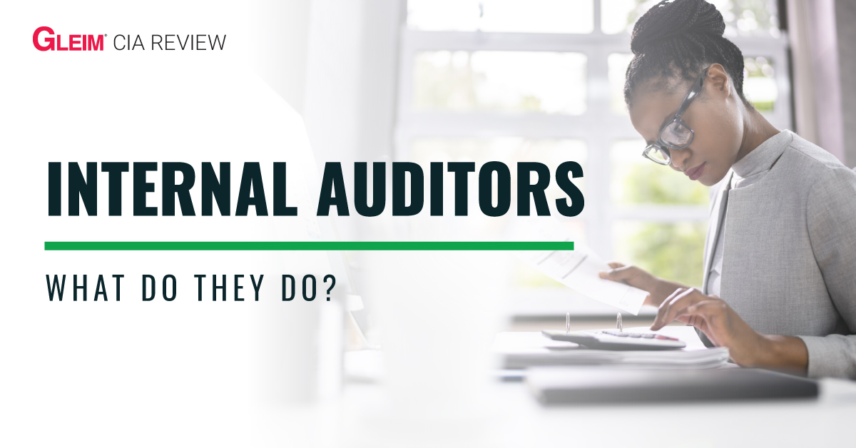 What Does An Internal Auditor Do 